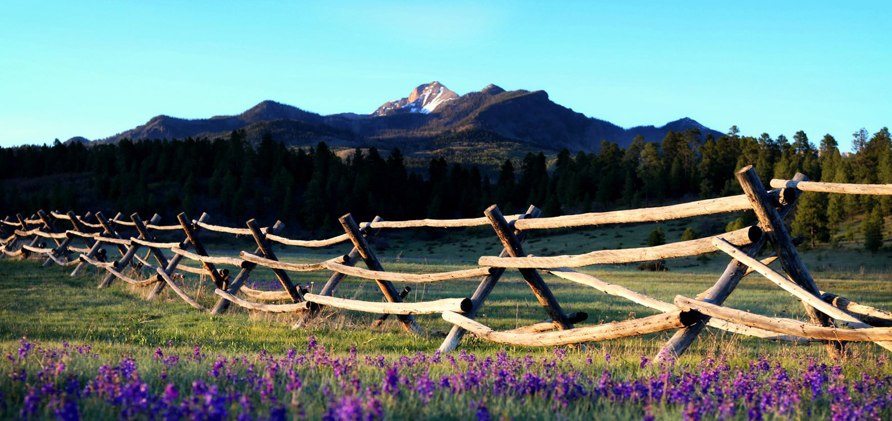 Contact Us Apex Mountain Management